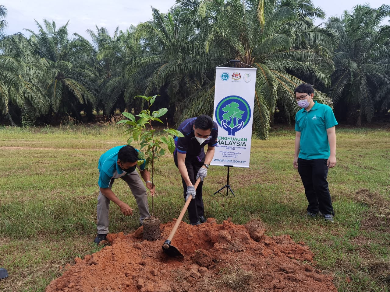 UiTM Cawangan Perlis Menyambut Baik Kempen Penanaman 100 Juta Pokok ...